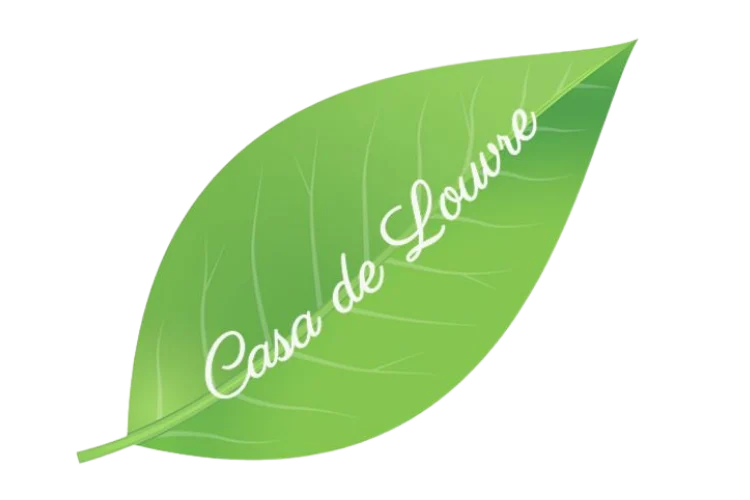logo casa de louvre
